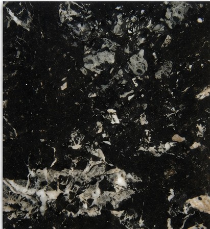 Black Zebra - Marble Stone Colour